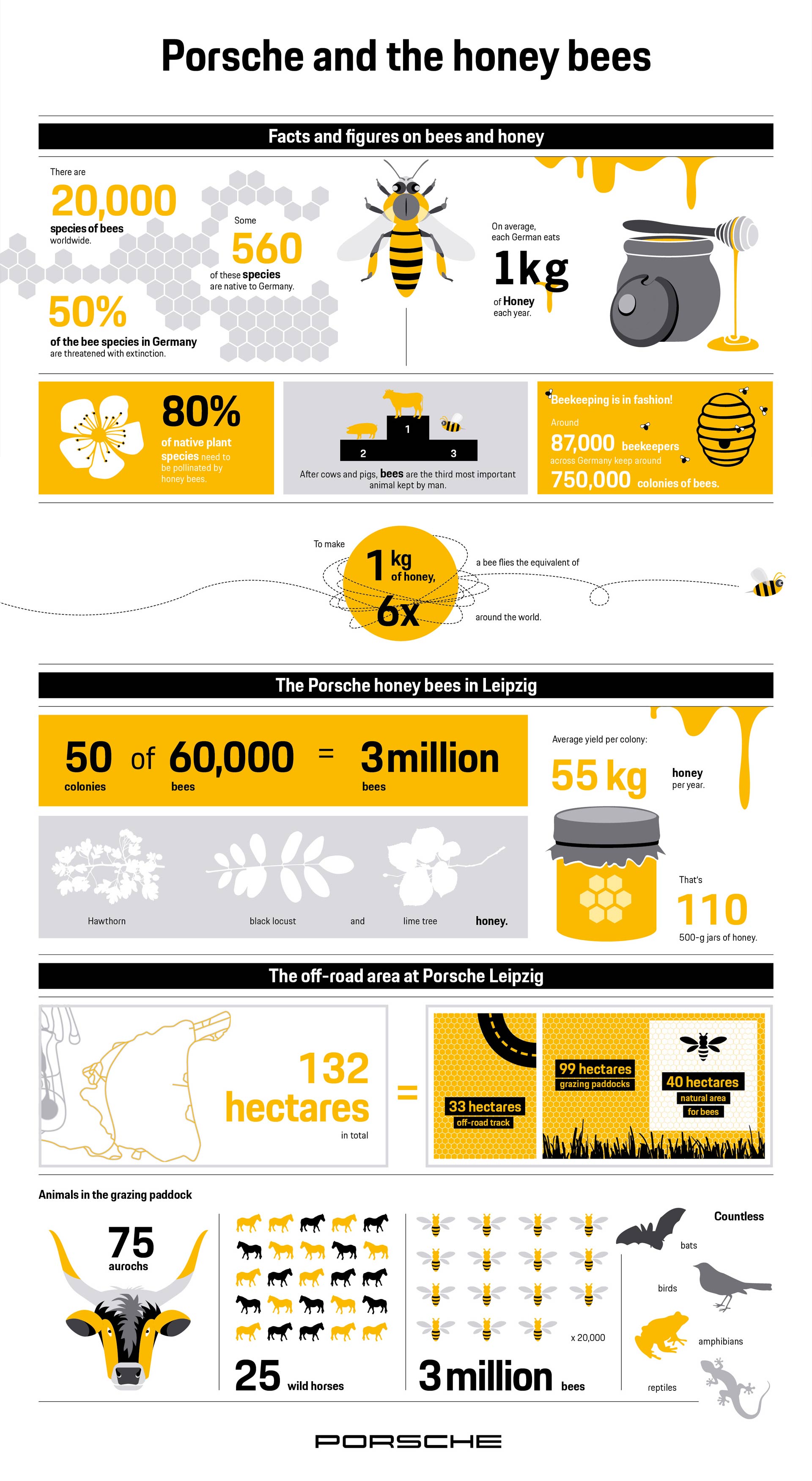 Porsche-Leipzig-Honey-Bees-infographic