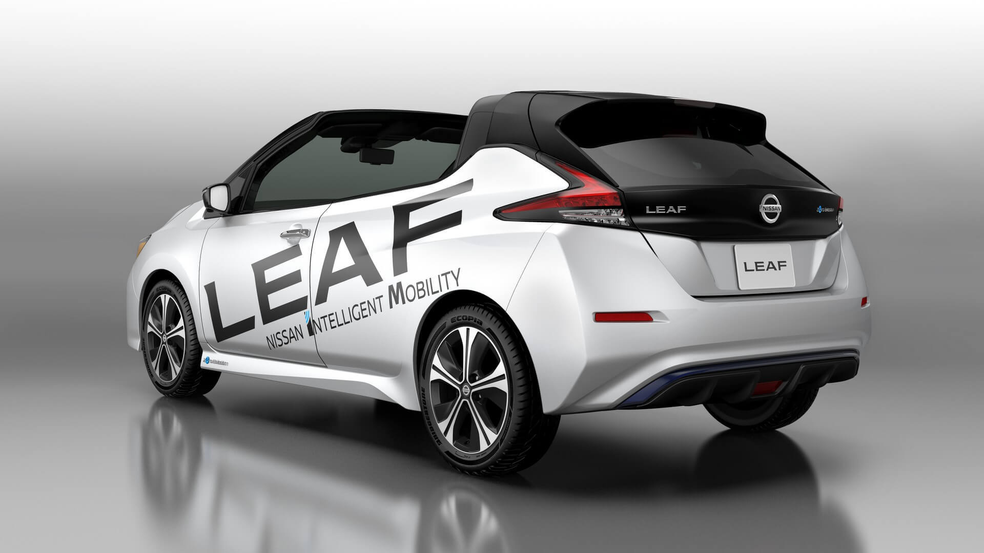 Nissan-Leaf-Open-air_2
