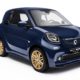 brabus-smart-fortwo-veronica-heilbrunner_5