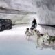 Land-Rover-Discovery-Sport-Dog-Sled-Race