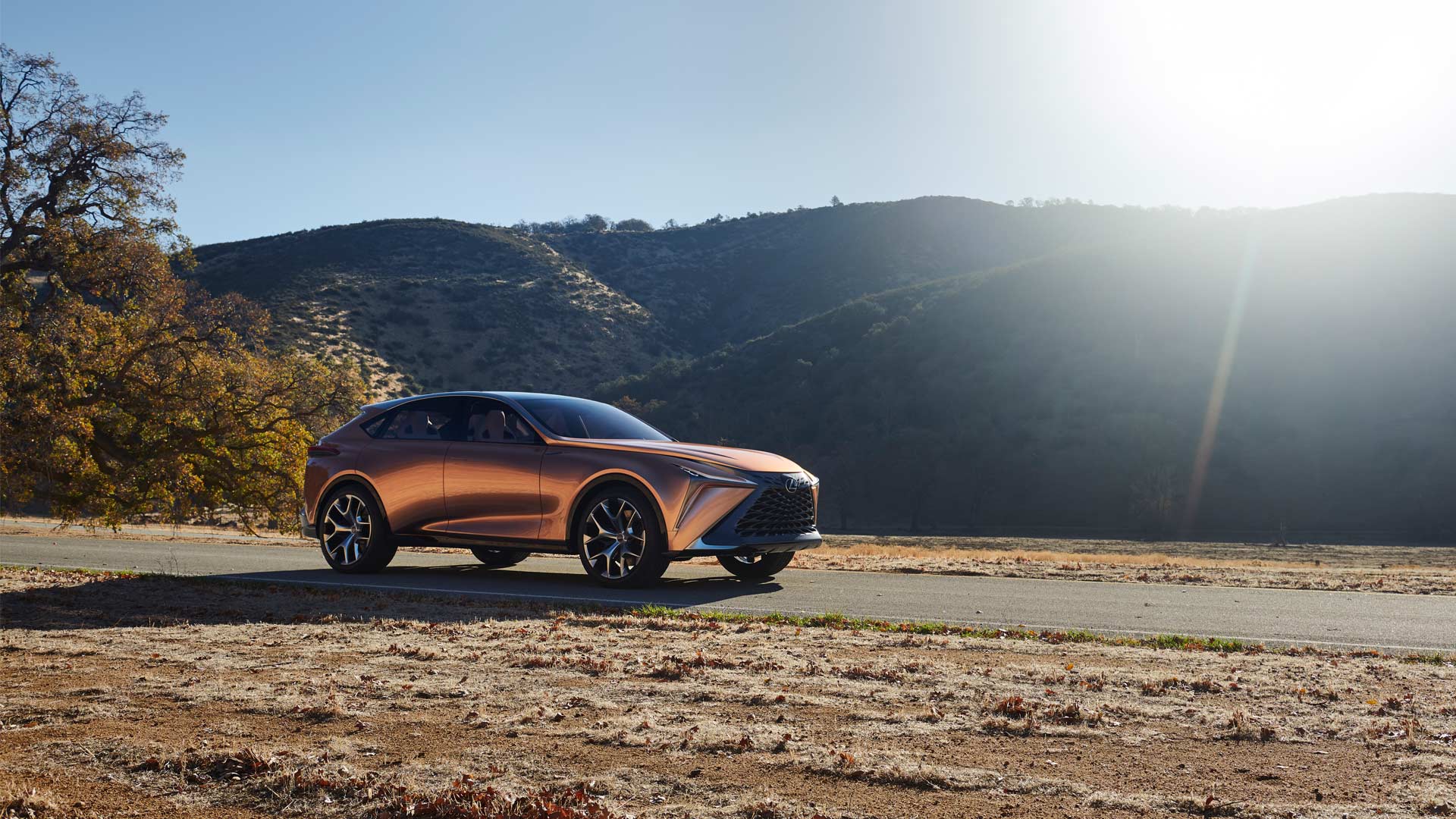 Lexus-LF-1-Limitless-Concept