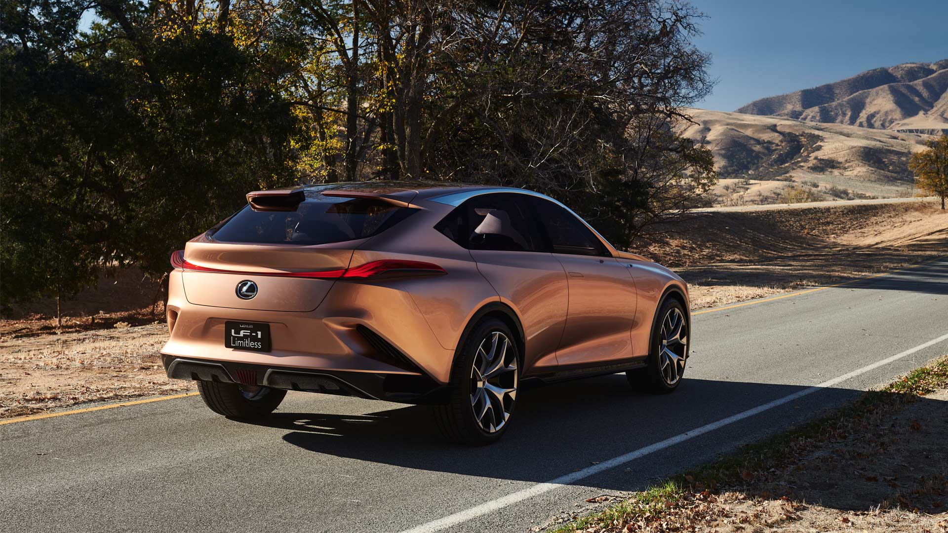 Lexus-LF-1-Limitless-Concept_2