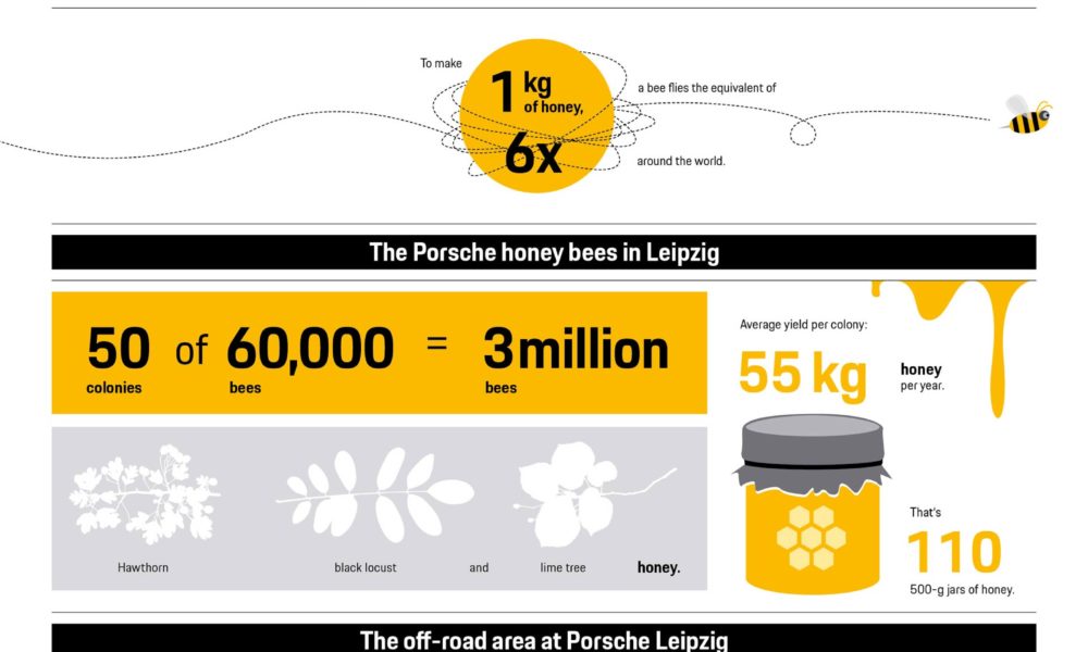 Porsche-Leipzig-Honey-Bees-infographic