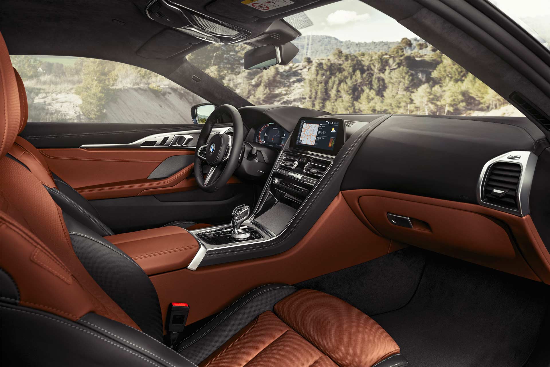 2019-BMW-8-Series-M850i-interior_3