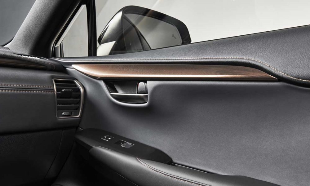 2020-Lexus-NX-Black-Line_interior_doorpad